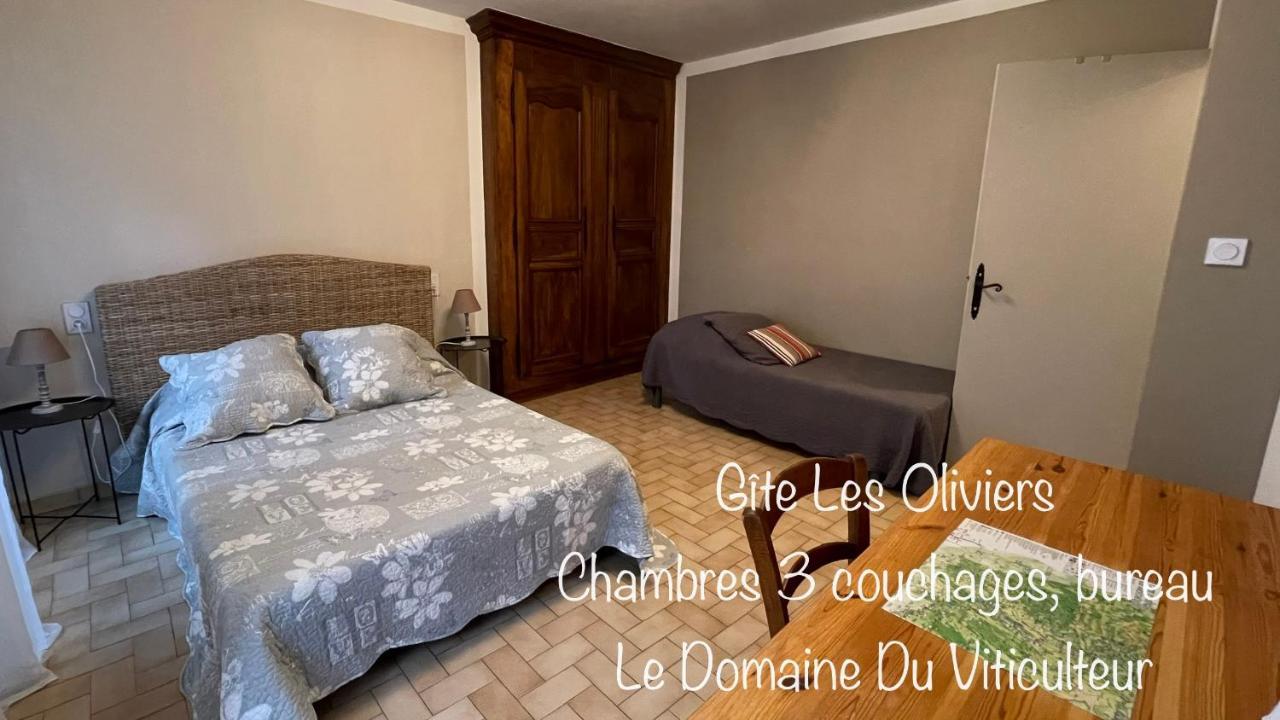 Gite Les Oliviers - Le Domaine Du Viticulteur - St Maurice D Ibie Saint-Maurice-d'Ibie Экстерьер фото